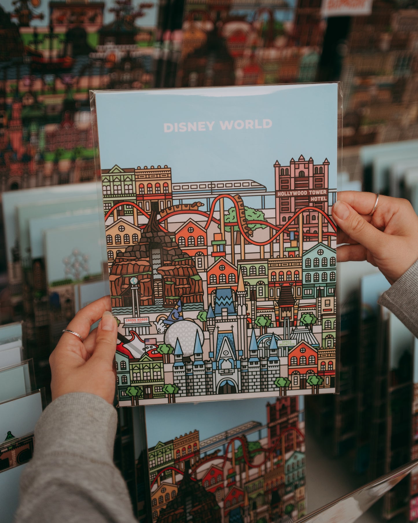 Disney World Florida Print